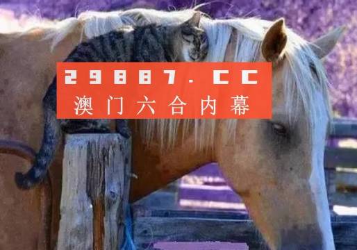 澳門一肖一碼一待一中四不像，探索與解析，澳門一肖一碼一待一中四不像，深度解析與探索