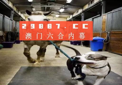 澳門一肖一碼一必中一肖，同舟前進的奧秘與策略，澳門一肖一碼必中策略與前進奧秘，同舟共濟的揭秘與策略