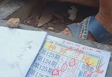 香港中特期期準(zhǔn)資料，深度解析與探索，香港中特期期準(zhǔn)資料深度解析與探索報告