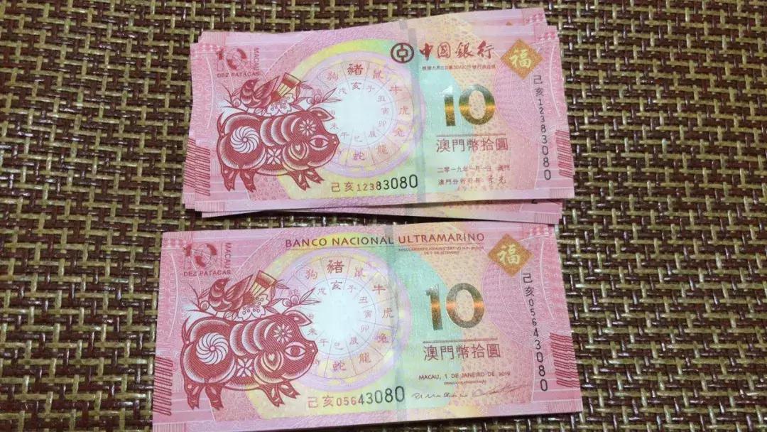 新澳門生肖走勢圖，深度解析與預(yù)測，澳門生肖走勢圖深度解析及預(yù)測報告