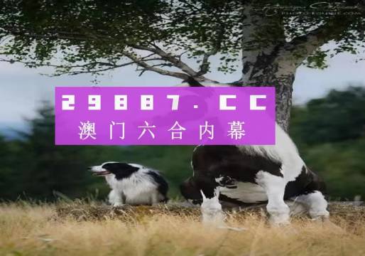 澳門天天空彩官網(wǎng)資料，探索彩票世界的門戶，澳門天天空彩官網(wǎng)資料，彩票世界探索門戶