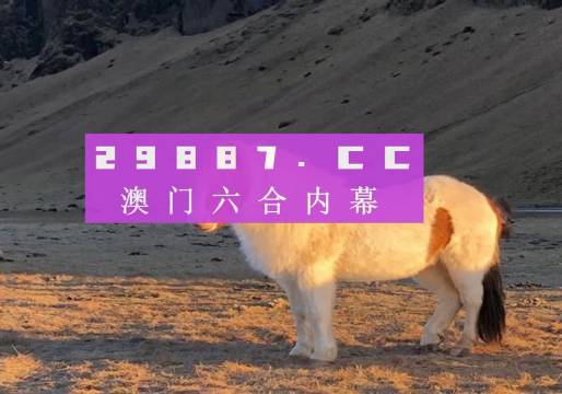 澳門天天彩資料正版免費特色快8，探索彩票世界的魅力與機遇，澳門天天彩正版特色快8，彩票世界的魅力與機遇探索