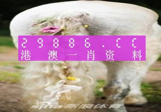 澳門羊了個羊與各大圖庫的資料揭秘，2023年澳門今晚必中一肖一碼永久免費資料庫大解密，澳門羊了個羊與資料庫揭秘，2023年必中一肖一碼永久免費資料大解密