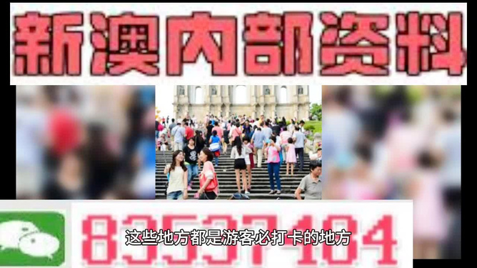 新澳天天開獎資料大全旅游團(tuán)——探索澳門的魅力之旅，澳門魅力探索之旅，新澳天天開獎資料大全旅游團(tuán)