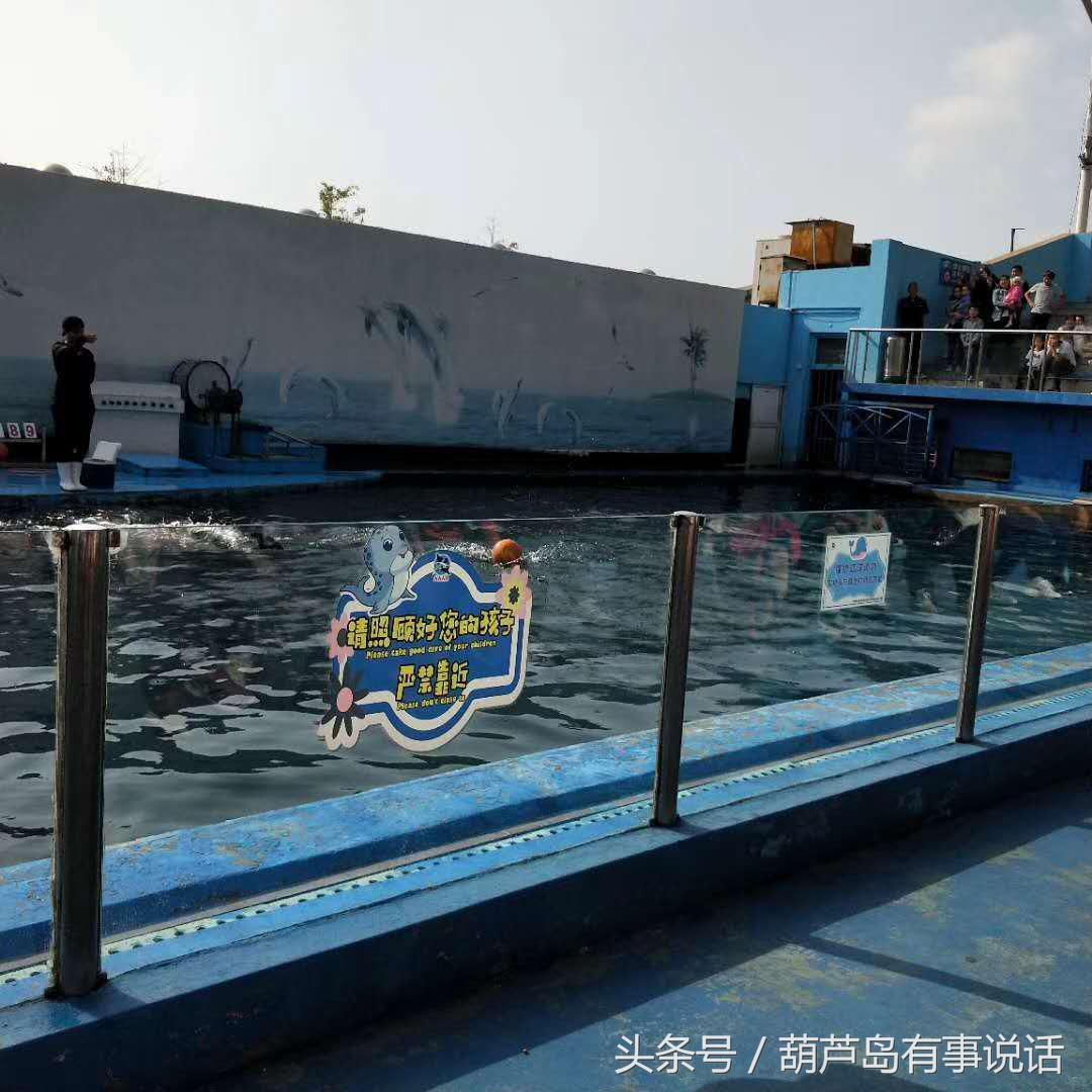 揭秘9點30分彩新澳，全方位解讀彩票新玩法，揭秘9點30分彩新澳，全方位解讀彩票新玩法攻略