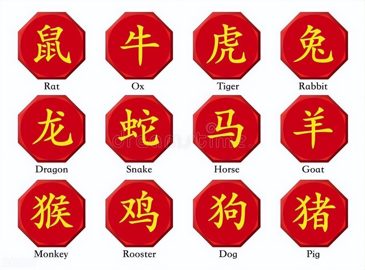 新澳特碼，羊?；⒏鲾?shù)10——揭秘背后的數(shù)字奧秘，揭秘新澳特碼數(shù)字奧秘，羊?；⒏鲾?shù)背后的秘密