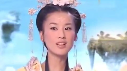 曾道道人資料免費(fèi)大全，深度探索與解析，曾道道人資料深度解析與免費(fèi)大全探索
