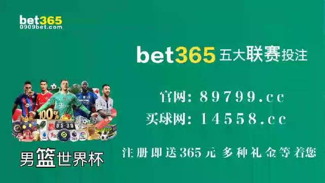 王中王中特馬王中王精準(zhǔn)資料解析與SEO優(yōu)化策略探討，王中王中特馬精準(zhǔn)資料解析與SEO策略探討