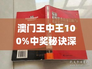 新澳門王中王期期中，探索與解析，新澳門王中王期期中，深度探索與解析