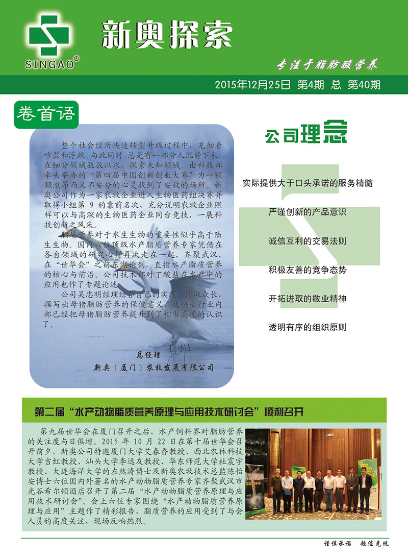2025新澳正版資料查詢指南，2025新澳正版資料查詢手冊