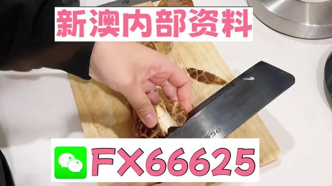 澳門九點半9點半網(wǎng)站——探索其魅力與優(yōu)勢，澳門九點半網(wǎng)站，魅力與優(yōu)勢探索