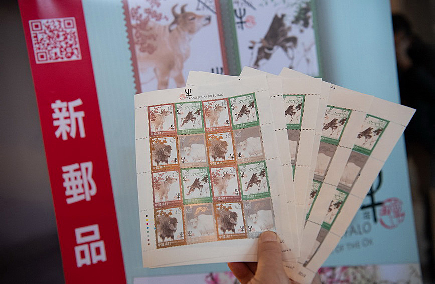 澳門值日生肖600圖庫與八百圖庫開獎，探索生肖圖庫的魅力與奧秘，澳門生肖圖庫開獎揭秘，探索值日生肖600圖庫與八百圖庫的魅力與奧秘