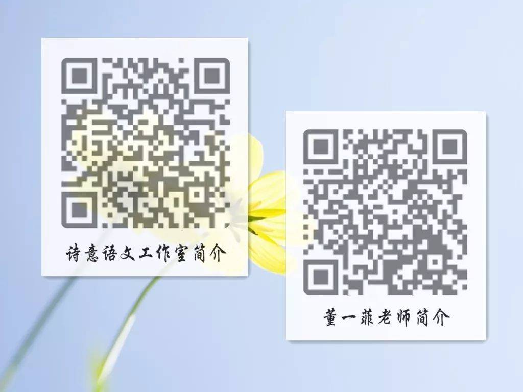 一碼一肖一特一，揭秘背后的秘密與獨(dú)特之處，揭秘一碼一肖一特一的獨(dú)特之處與背后秘密