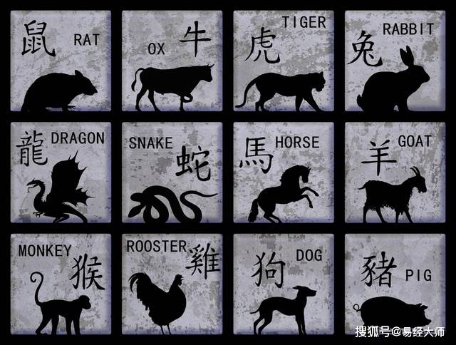 新澳特碼，羊牛虎各數(shù)10的獨特魅力與解析，新澳特碼，羊?；⒏鲾?shù)10的獨特魅力深度解析