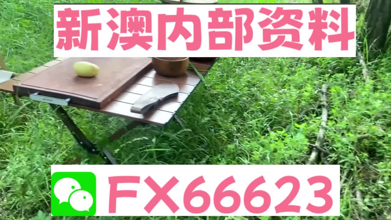 新奧特碼走勢圖解析與預(yù)測，新奧特碼走勢圖解析與預(yù)測，未來趨勢探討