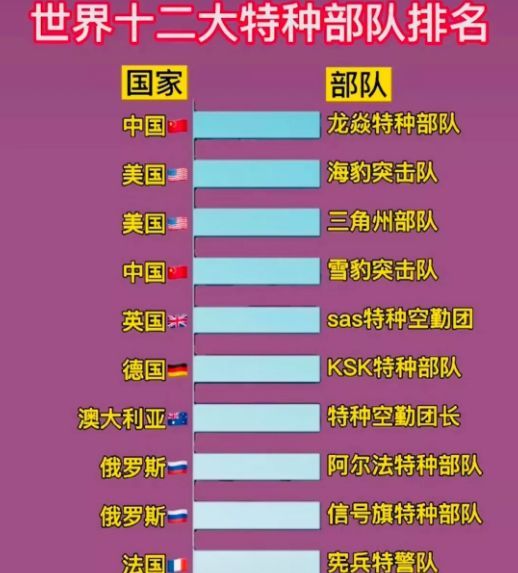 中國(guó)十大王牌特種部隊(duì)，實(shí)力與榮耀的象征，中國(guó)十大王牌特種部隊(duì)，實(shí)力與榮耀的巔峰標(biāo)志