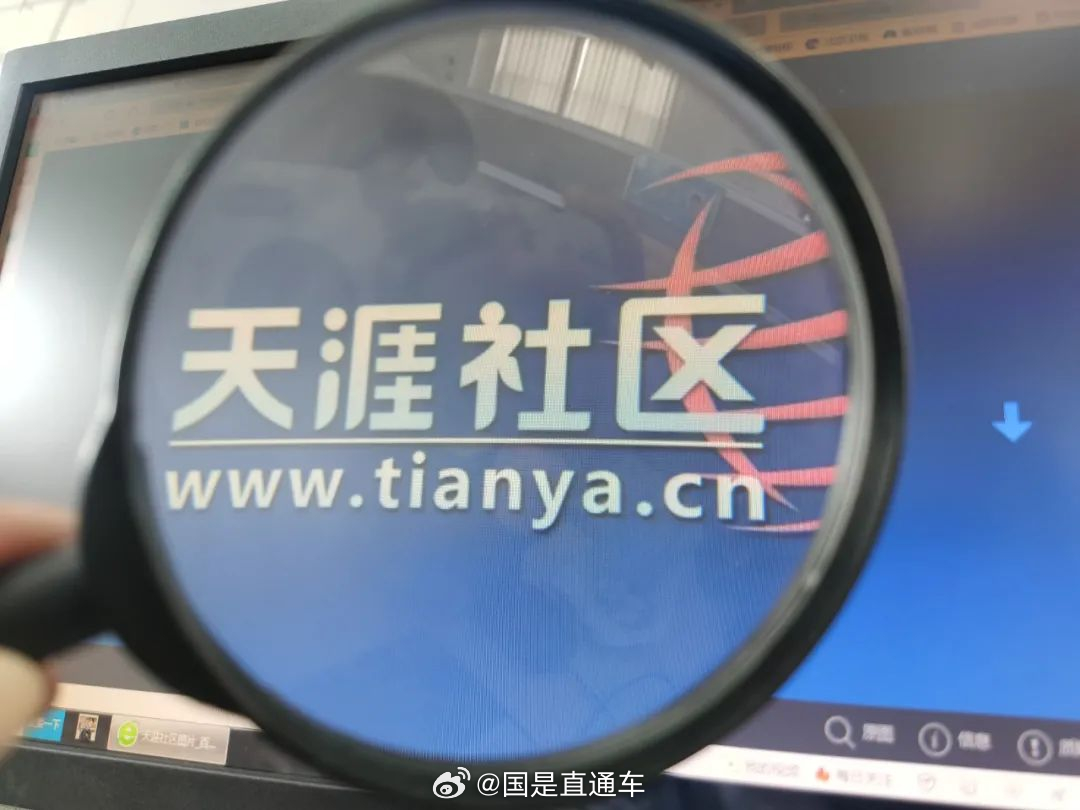 天涯國際觀察，全球視野下的深度分析與洞察，全球深度洞察，天涯國際觀察分析