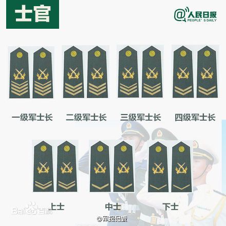 全球各國(guó)軍士長(zhǎng)軍銜對(duì)照表及其重要性，全球各國(guó)軍士長(zhǎng)軍銜對(duì)照表，揭示其重要性