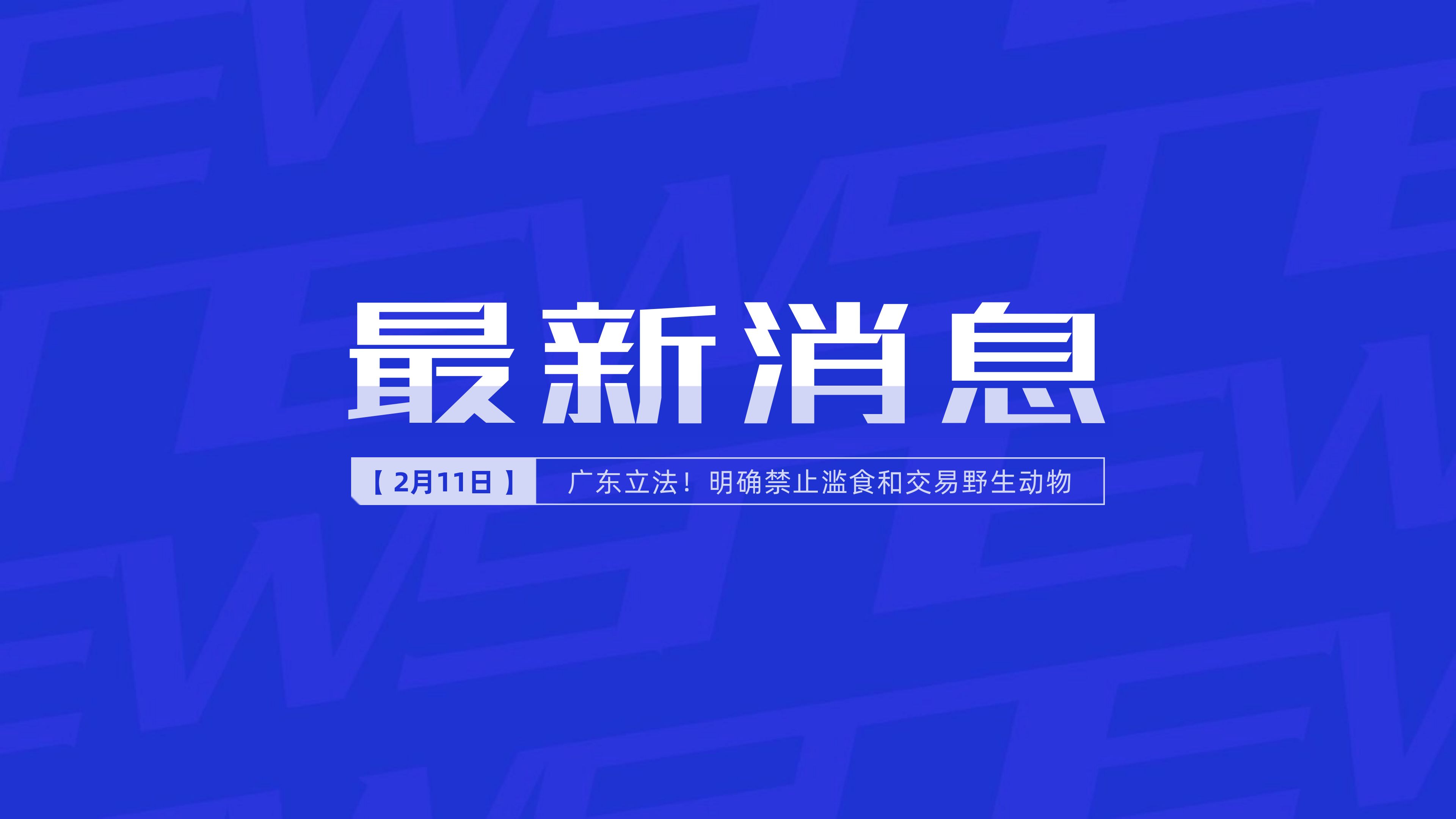 新聞最新新聞，掌握時事熱點，洞悉世界動態(tài)，時事熱點速遞，掌握全球最新動態(tài)新聞