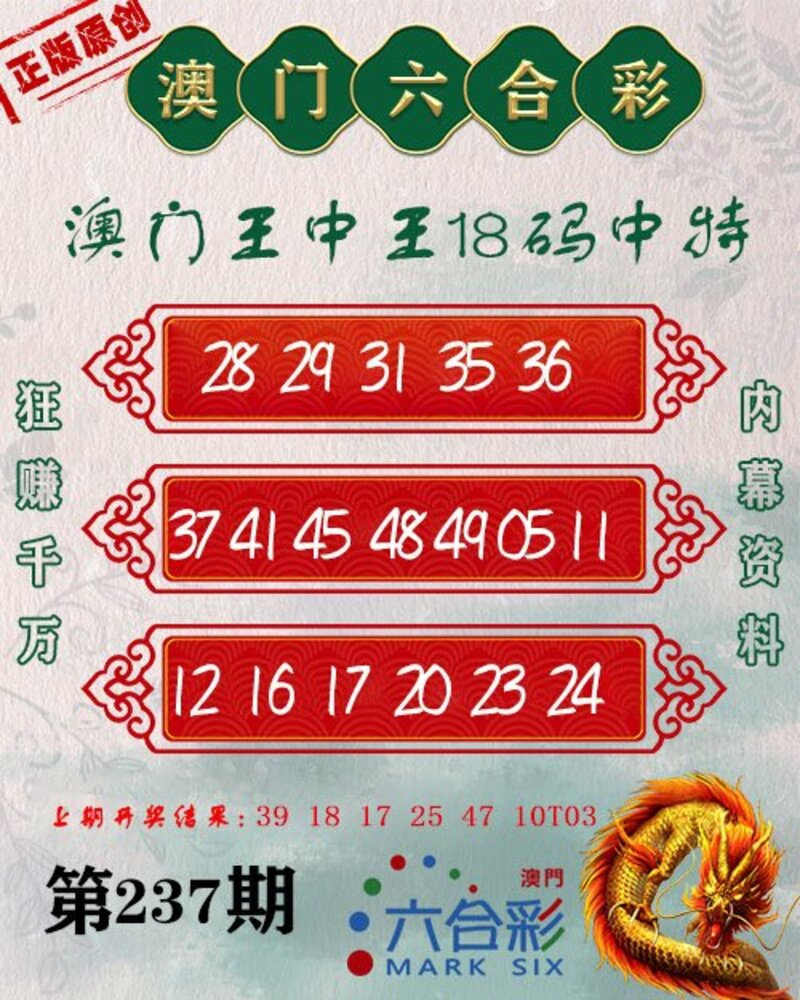 新澳門王中王期期中，探索與解析，新澳門王中王期期中，深度探索與解析