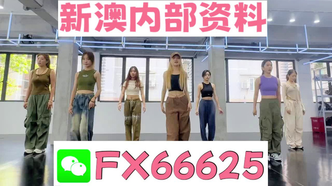 新澳持碼會(huì)資料詳解，新澳持碼會(huì)資料全面解析