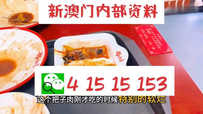 澳門王中王六碼新澳門，探索與解析，澳門王中王六碼新澳門，深度探索與解析