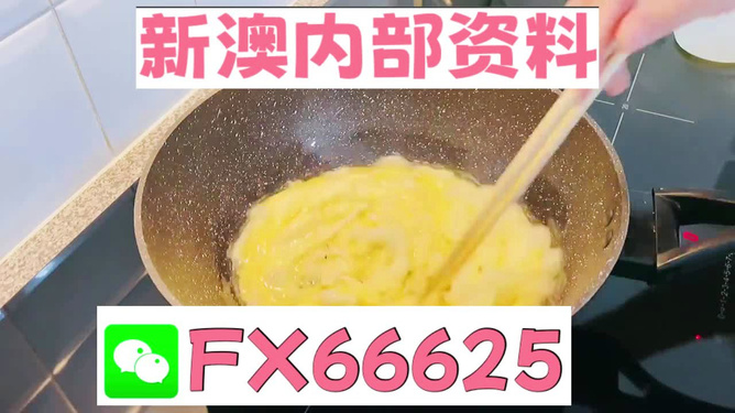 澳門九點半9點半網(wǎng)站——探索與體驗，澳門九點半網(wǎng)站，探索與體驗之旅