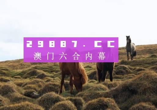 澳門今晚9點35開獎結(jié)果揭曉，揭秘彩票背后的秘密，澳門今晚9點35開獎結(jié)果揭曉，彩票背后的秘密大揭秘