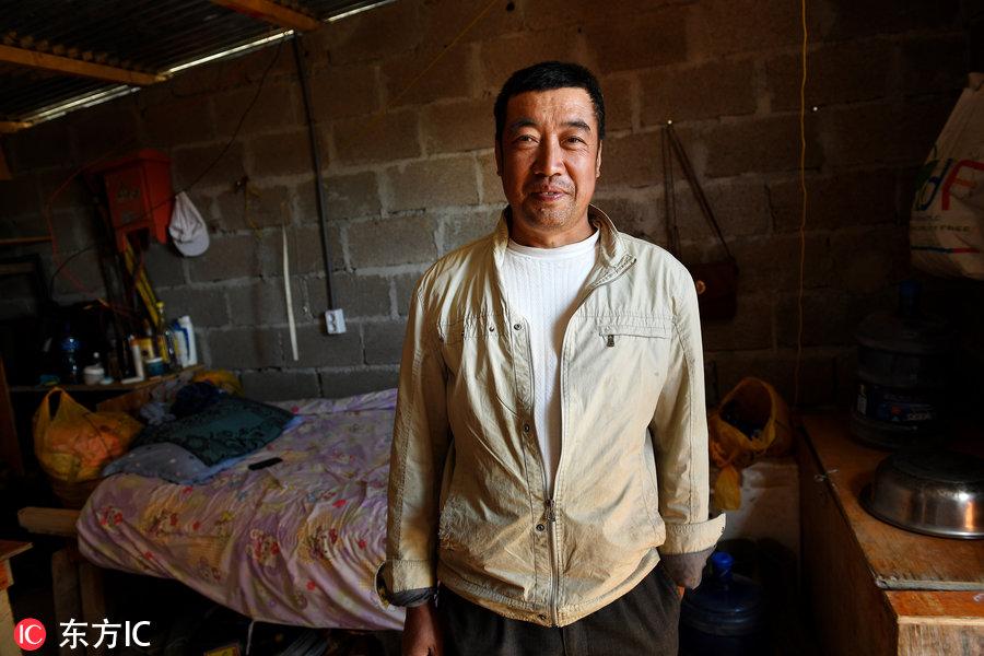 博科圣地組織，深度解析與理解，博科圣地組織深度解析與探究