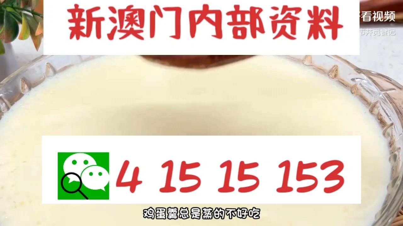 新澳門中特網(wǎng)中特馬，探索與解析，澳門中特馬探索與解析指南