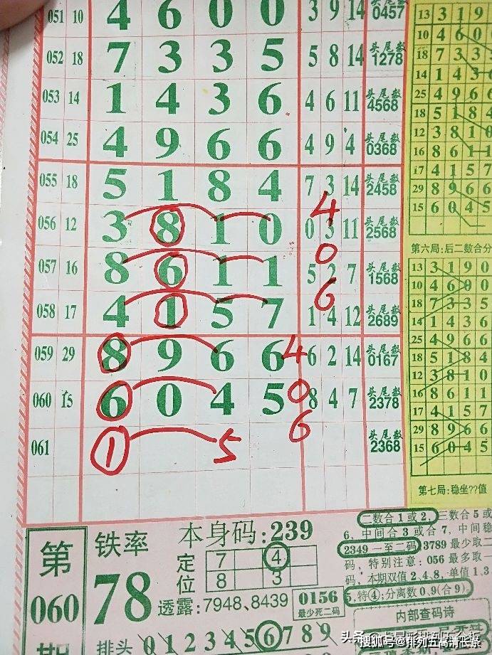 平特肖推算法，探索搜索引擎優(yōu)化的新境界，平特肖推算法，開啟搜索引擎優(yōu)化新境界的探索之旅