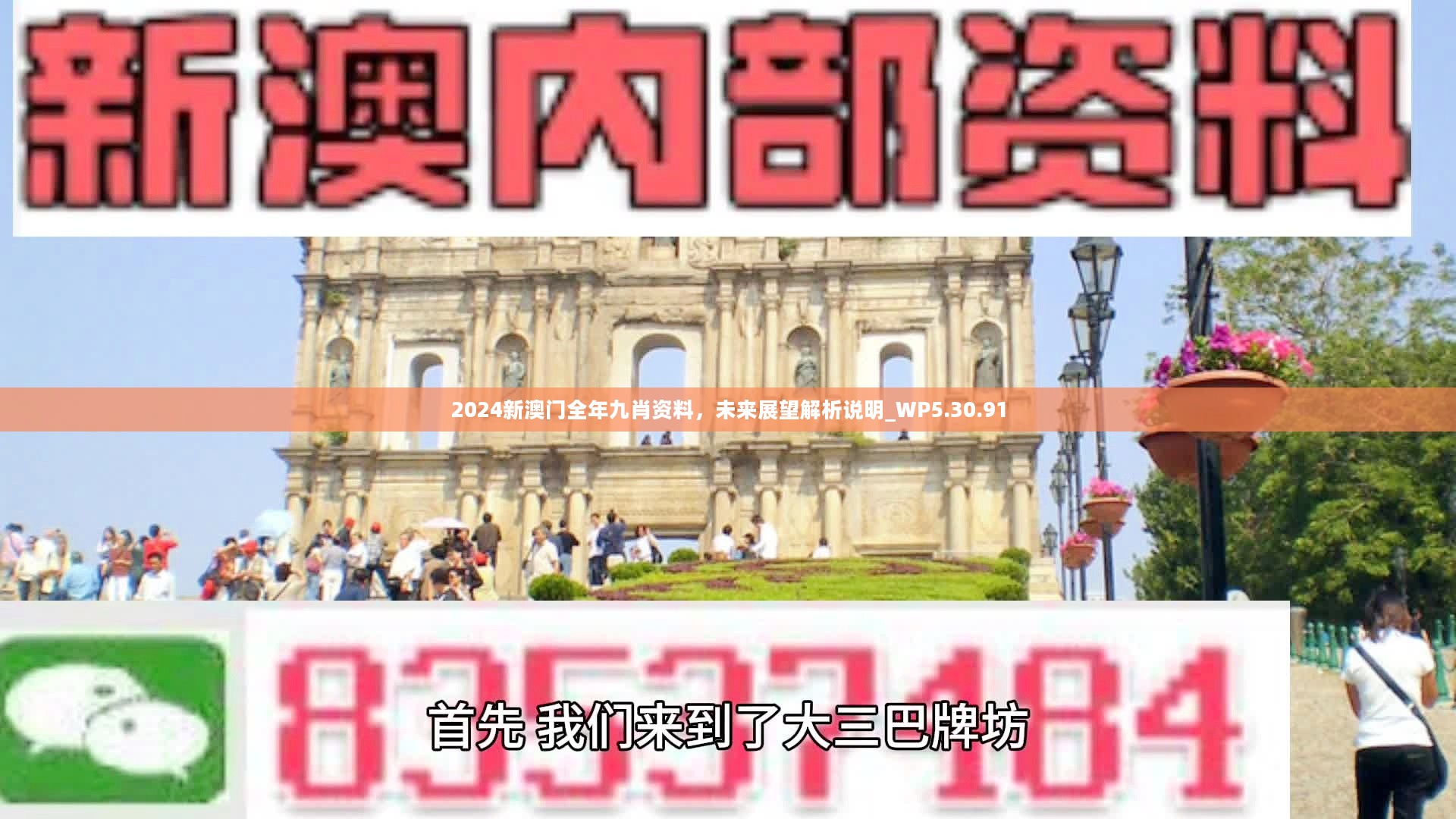 新澳門精準九肖，揭秘預(yù)測技巧與策略，揭秘新澳門精準九肖預(yù)測技巧與策略