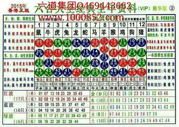 揭秘2024十二生肖49碼表——完整指南，揭秘十二生肖49碼表全攻略，2024年最新版指南