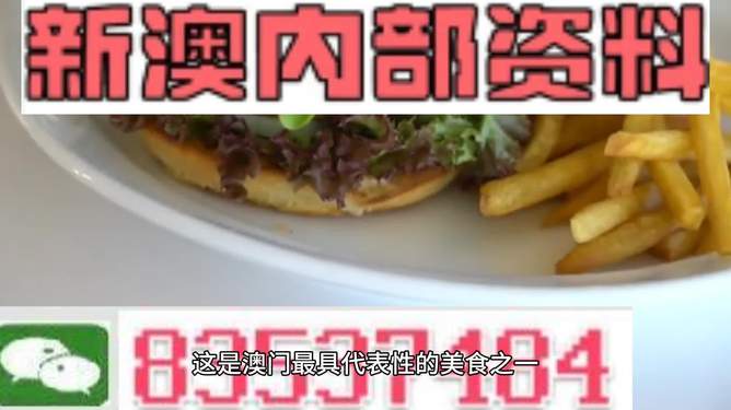新澳2024生肖最新資料解析與預(yù)測，新澳2024生肖解析與預(yù)測報告