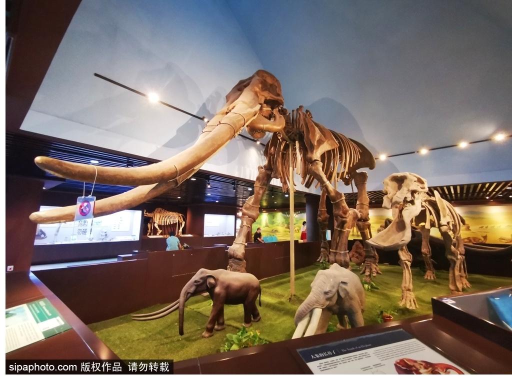 北京必去的十大博物館——探尋千年文化的精華之旅，北京必游十大博物館，千年文化精華之旅探尋記
