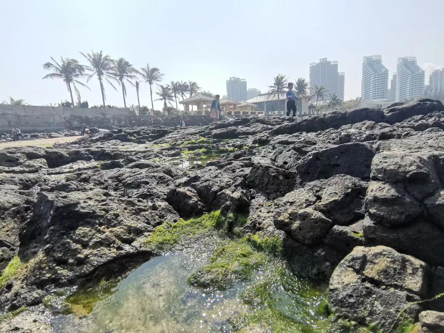 解放海南島電視劇全集下載，探尋30集完整劇情，解放海南島電視劇全集下載，探尋完整的30集劇情探索