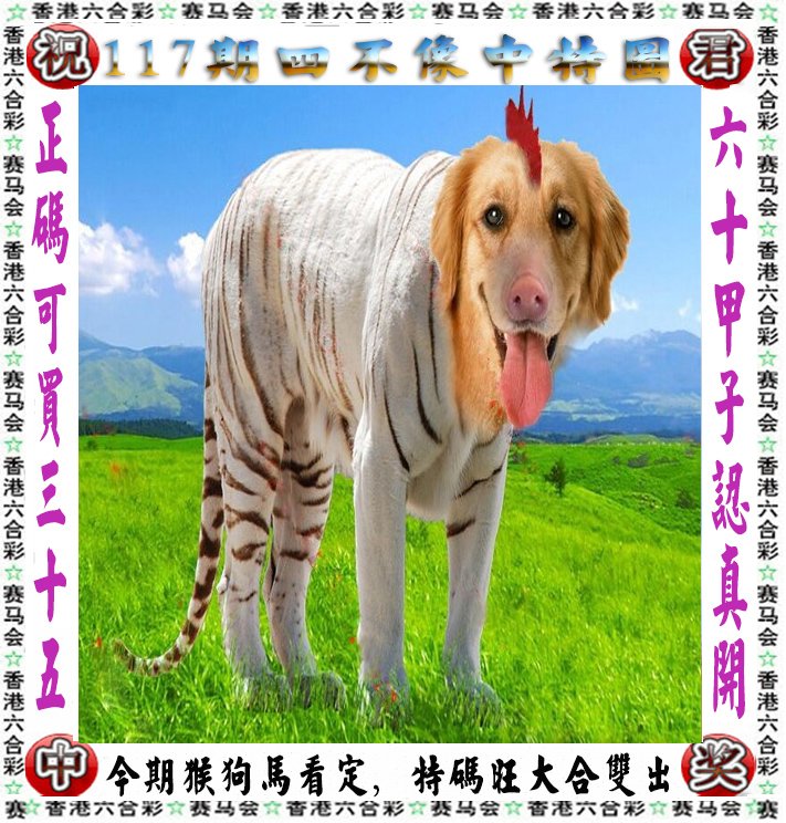 王中王四不像一肖論壇，探索神秘論壇的世界，王中王四不像一肖論壇，神秘論壇世界的探索之旅