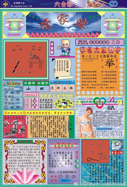 王中王四不像必出一肖圖——揭秘彩票背后的秘密，揭秘彩票背后的秘密，王中王四不像必出一肖圖的真相探索