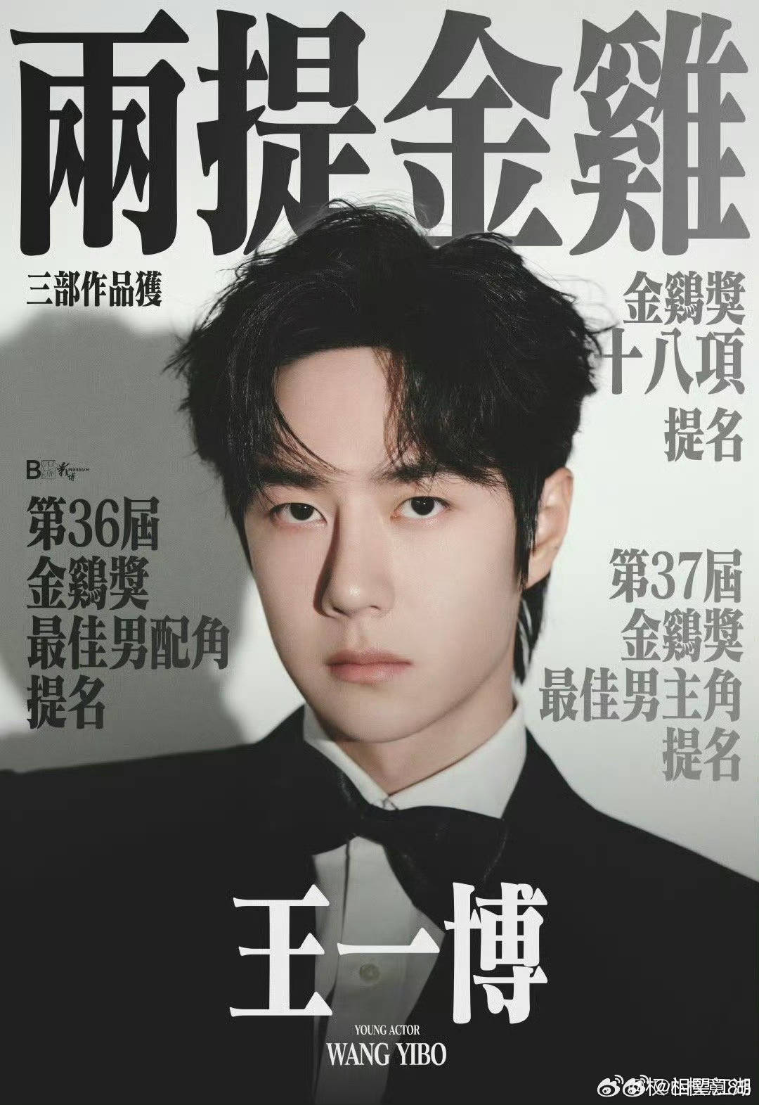 王中王一肖中特論特，深度解析與SEO洞察，深度解析王中王一肖中特論特與SEO洞察