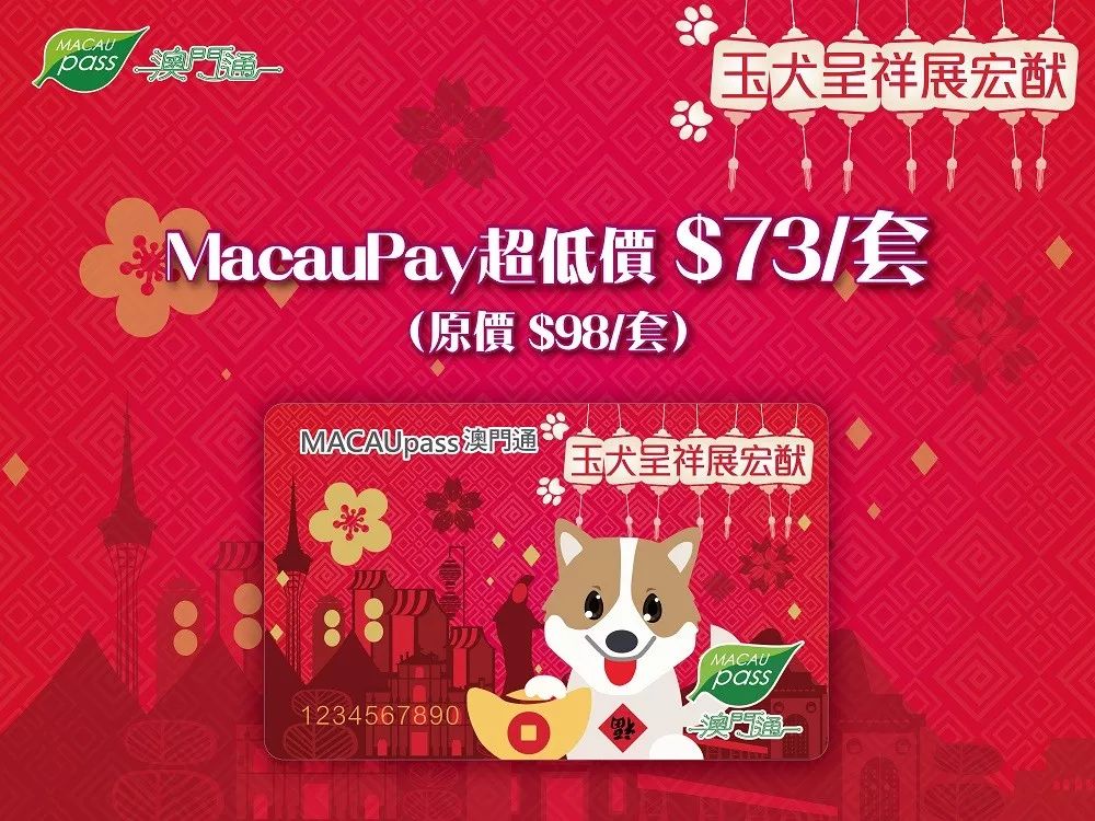 澳門生肖卡，探索未來的趨勢與機(jī)遇（2025年展望），澳門生肖卡，未來趨勢與機(jī)遇展望（2025年）