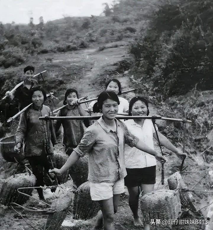 關(guān)于49圖庫(kù)圖片資料的專(zhuān)業(yè)解析與探索，49圖庫(kù)圖片資料深度解析與探索