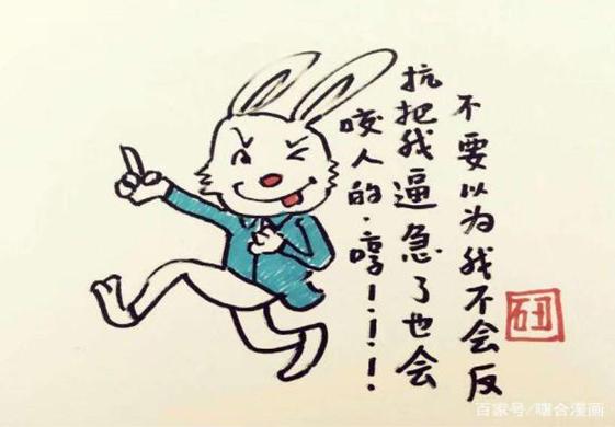 一肖不中賠多少倍，深度解析與策略建議，一肖不中賠倍深度解析及策略建議