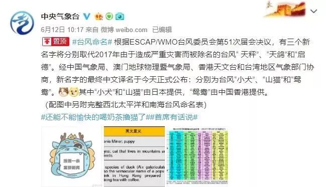 新澳門必中三肖三碼三期必開劉伯，揭秘彩票背后的秘密與策略，揭秘彩票背后的秘密與策略，劉伯的新澳門三期必開三肖三碼預(yù)測(cè)技巧