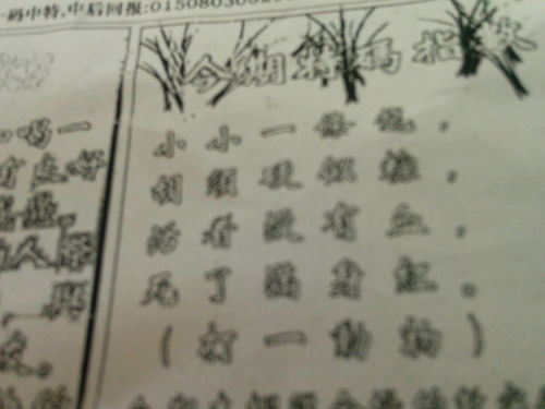 劉伯溫特一肖王中王，傳奇人物與生肖之王的神秘結(jié)合，劉伯溫生肖傳奇，傳奇人物與生肖之王的神秘交融