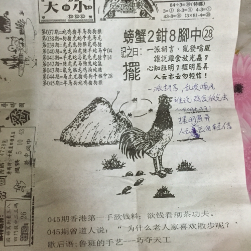 揭秘林中的高手王中王猜一肖的奧秘，揭秘林中之王王中王與生肖奧秘探秘