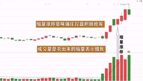 王中王一肖平碼，揭秘背后的故事與SEO策略，王中王一肖平碼背后的故事與SEO策略揭秘