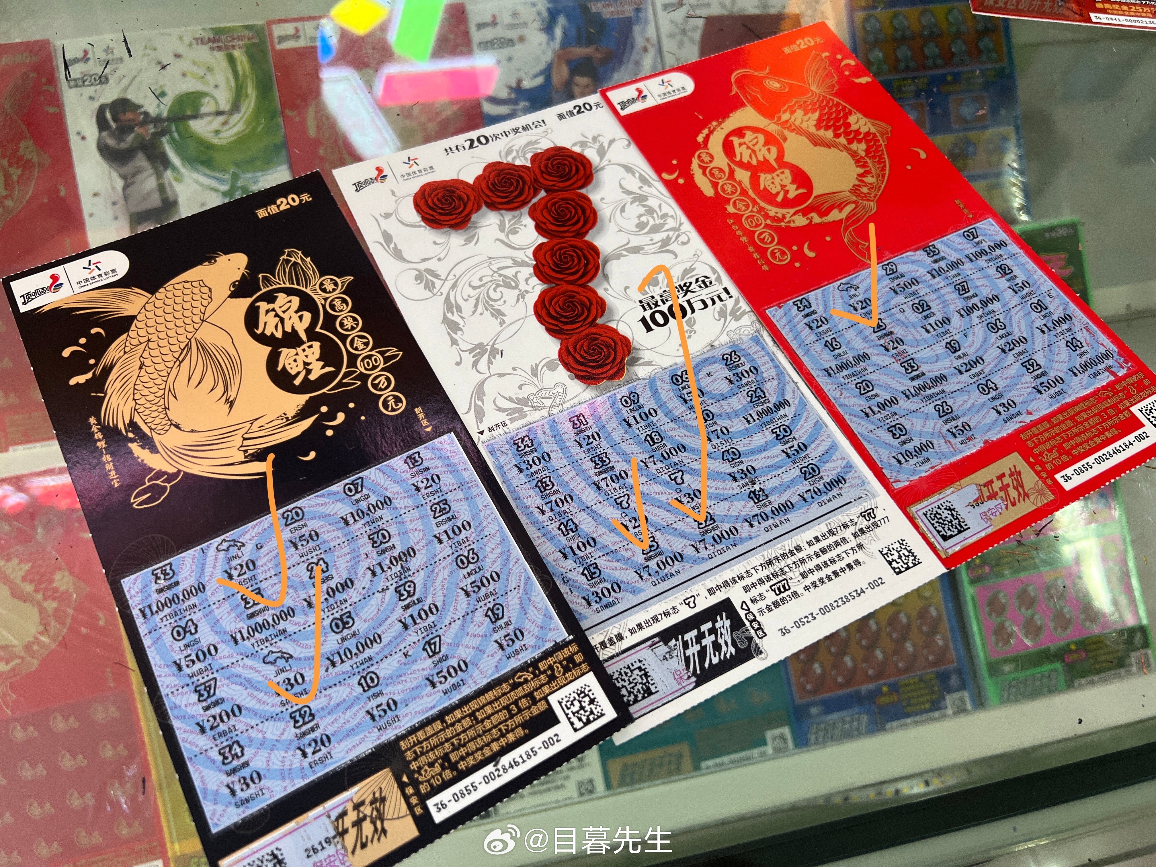全年王中王一肖中特，深度解析與預(yù)測，全年王中王一肖深度解析與預(yù)測，揭秘特肖趨勢