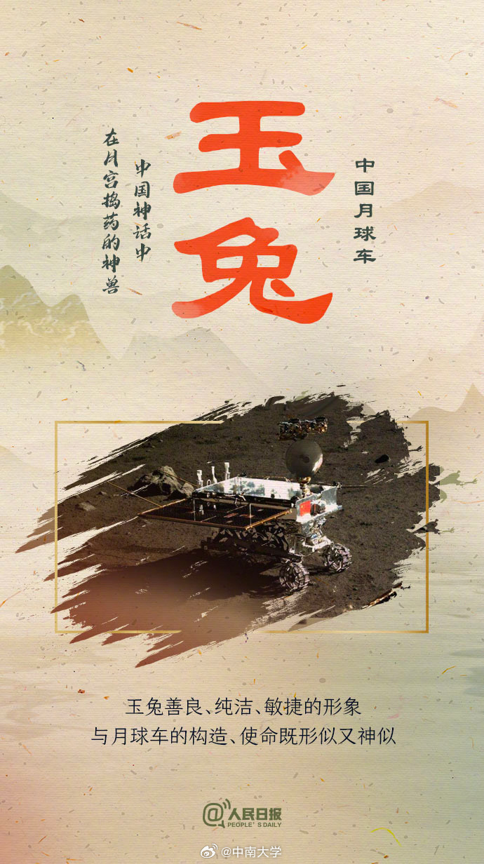 揭秘王中王平特一肖免會公開的奧秘，王中王平特一肖免公開揭秘奧秘