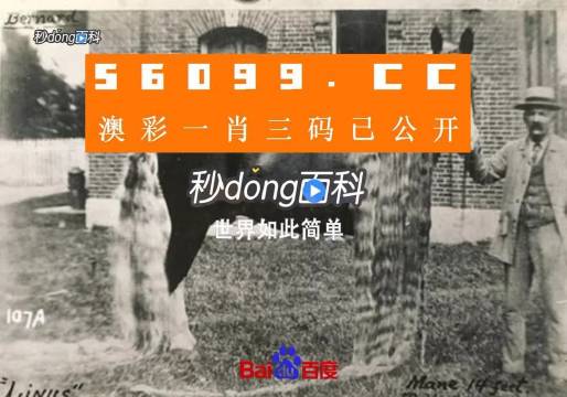 澳門王中王心水王中王，探索與解析，澳門王中王心水奧秘，深度探索與解析