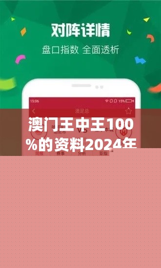 王中王網(wǎng)站一肖，探索與SEO優(yōu)化策略，王中王網(wǎng)站一肖，深度探索與SEO優(yōu)化策略實踐